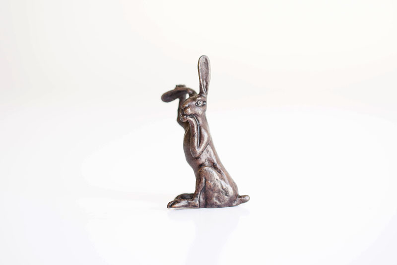 A picture of 'Miniature Bronze Hare Grooming'