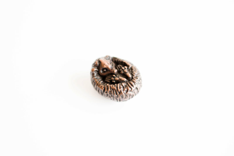 A picture of 'Miniature Bronze Hedgehog'