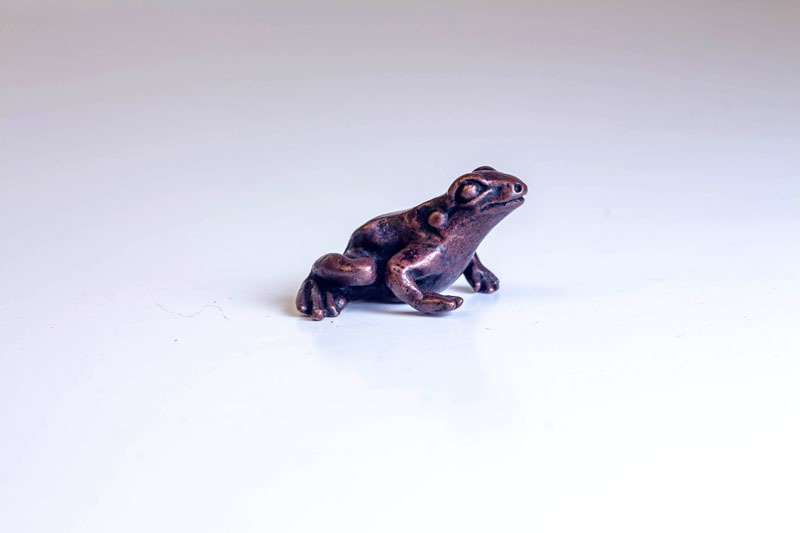 A picture of 'Miniature Bronze Small Frog'