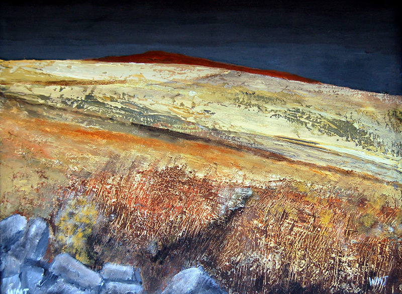 A picture of 'Cambrian Mountains 1'