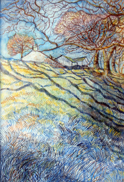 A picture of 'Winter Trees'
