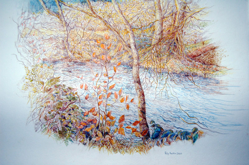 A picture of 'Autumn Colours'