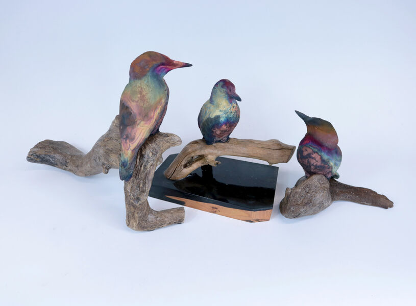 A picture of 'Branwens Starling on Resin Base'