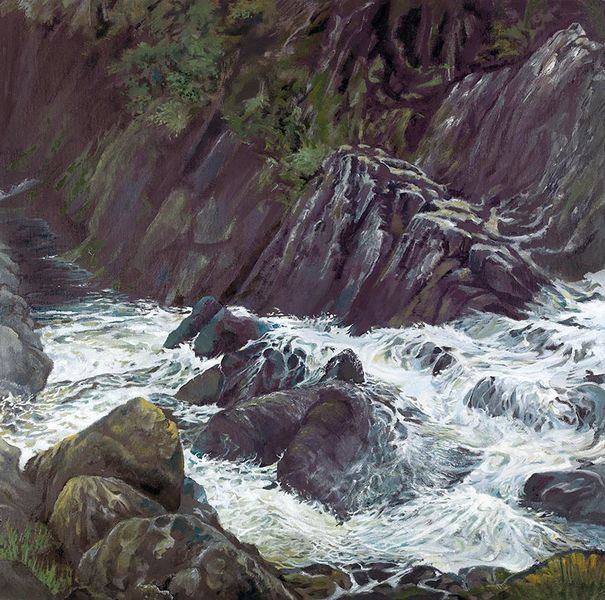 A picture of 'River Gamlan, Coed Ganllwyd'