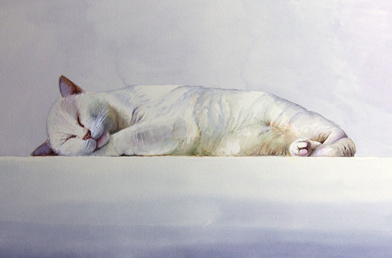 A picture of 'Sleeping Cat'