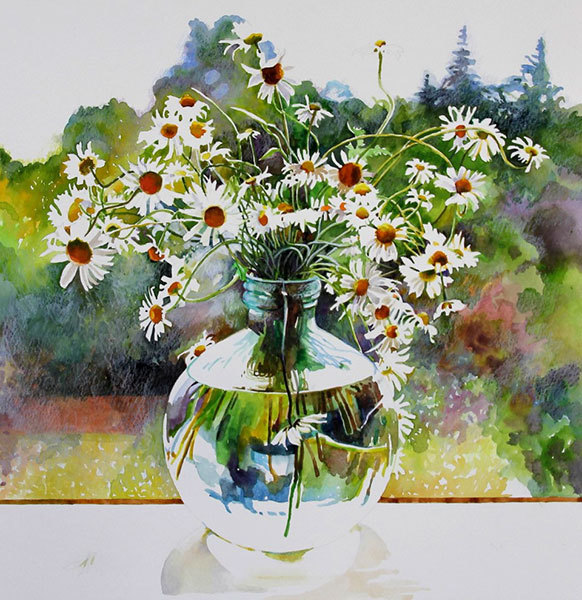 A picture of 'Ox eye Daisies'