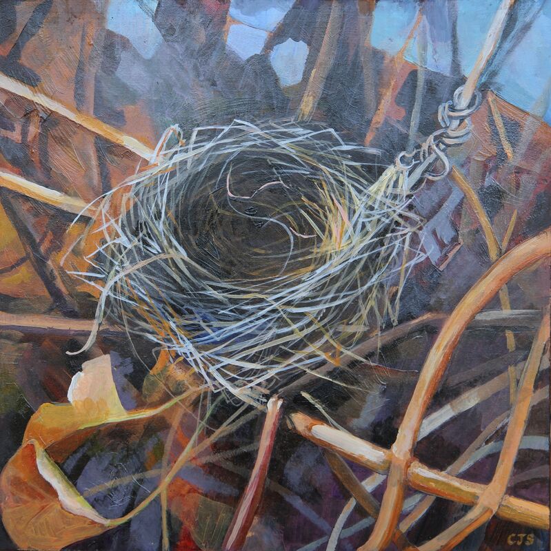 A picture of 'Birds Nest in Virginia creeper'