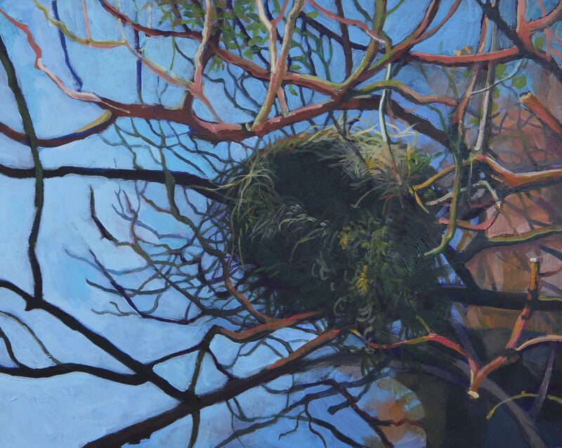 A picture of 'Bird's Nest Lined With Moss'