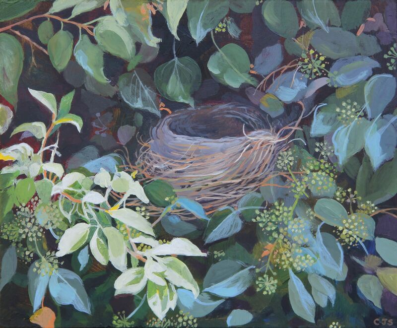 A picture of 'Bird's Nest in Ivy'