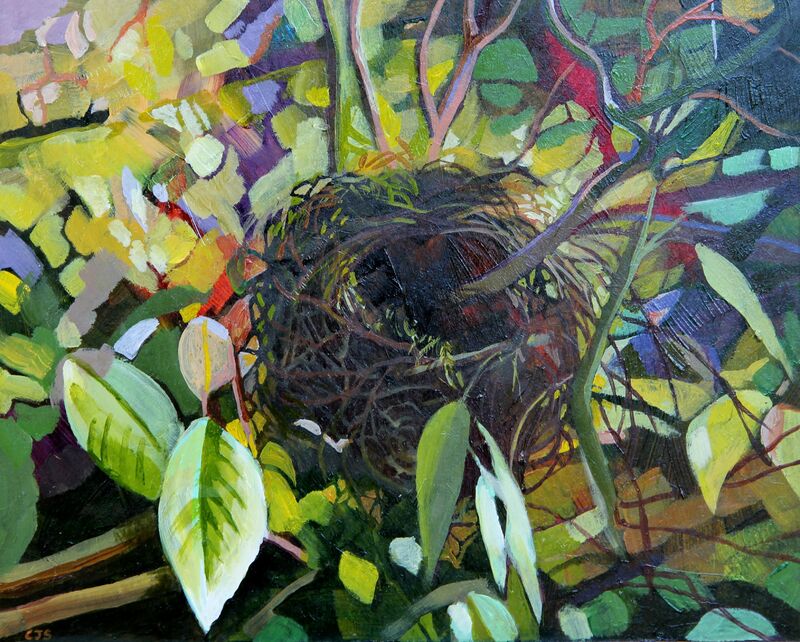 A picture of 'Bird's Nest in a Climbing Rose'