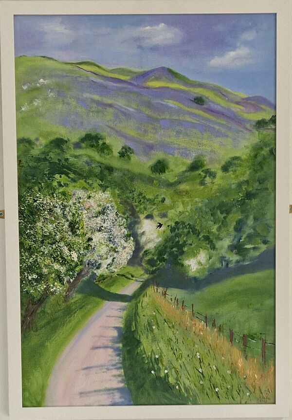 A picture of 'Bluebells, Cors Caron'