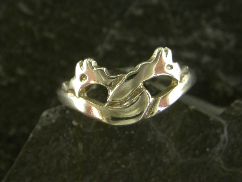 A picture of 'Silver Firedrakes Ring'