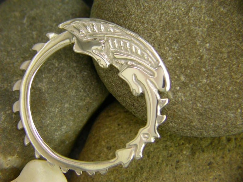 A picture of 'Silver Circle Dragon Brooch'