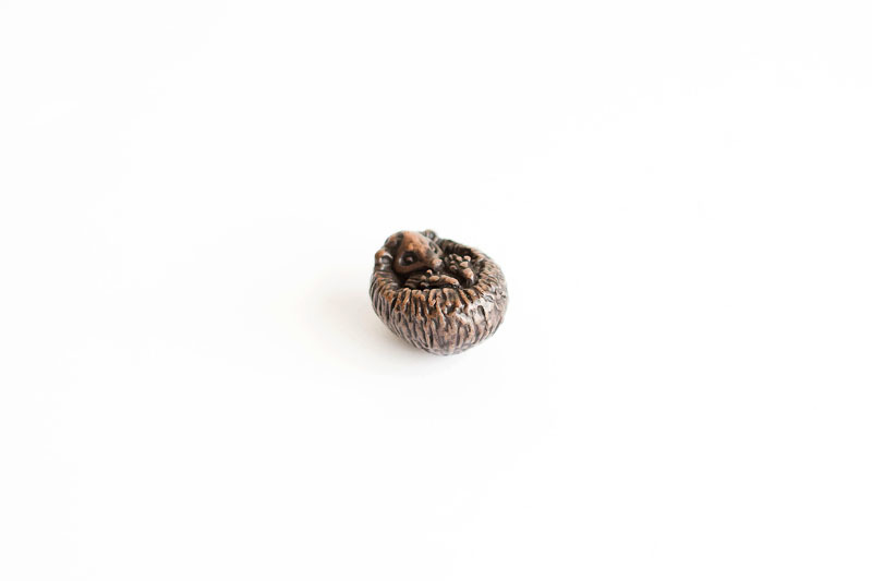 A picture of 'Miniature Bronze Hedgehog''
