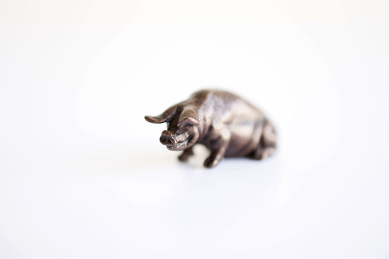 A picture of 'Miniature Bronze Pig''