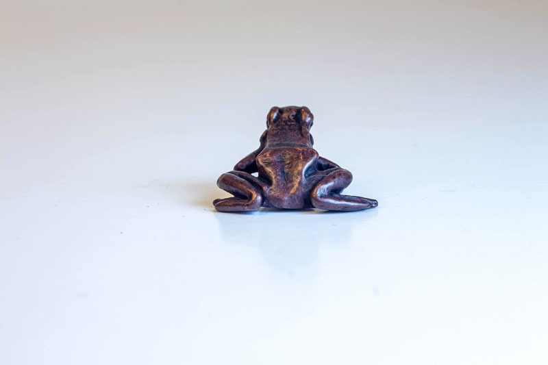 A picture of 'Miniature Bronze Small Frog''