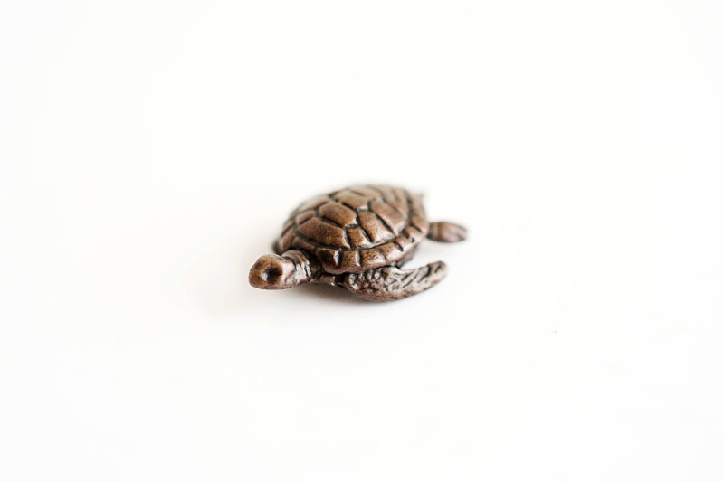 A picture of 'Miniature Bronze Turtle''
