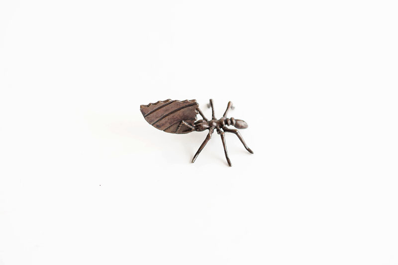 A picture of 'Miniature Bronze Leaf Cutter Ant''