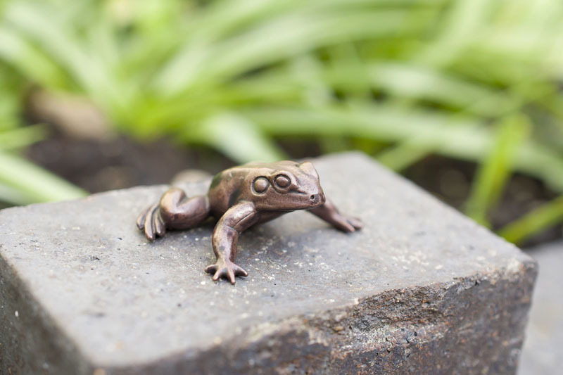 A picture of 'Miniature Bronze Sitting Frog''