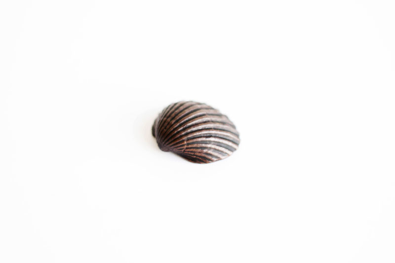 A picture of 'Miniature Bronze Clam Shell''