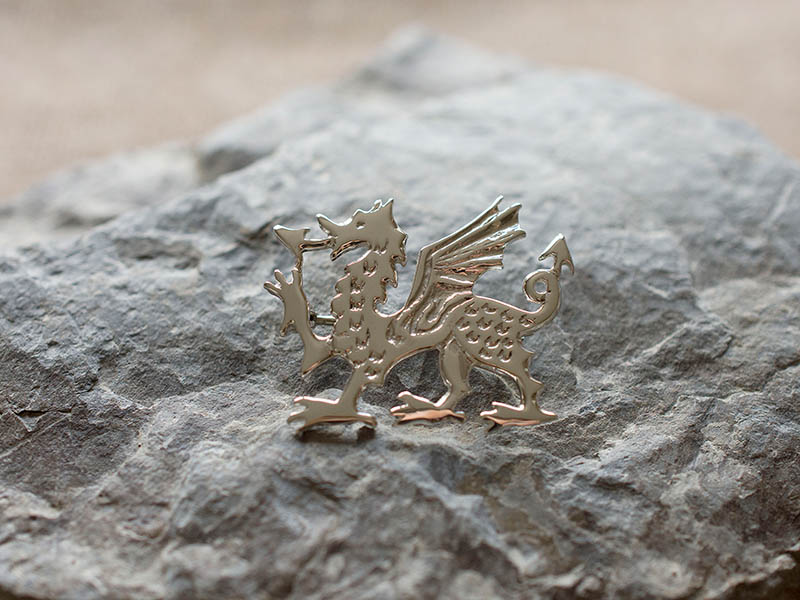 A picture of 'Silver Large Dragon Brooch''