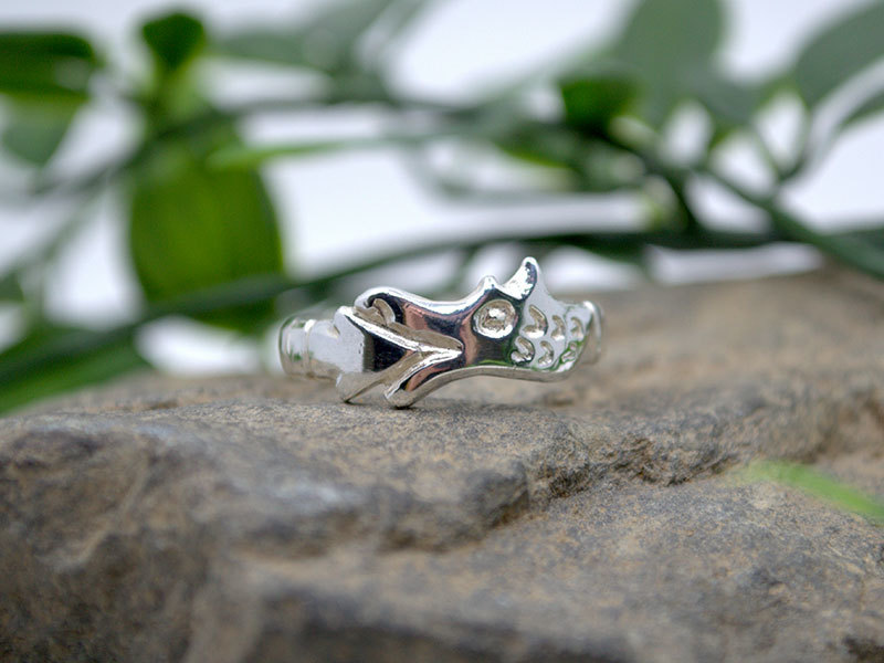 A picture of 'Silver Circle Dragon Ring''