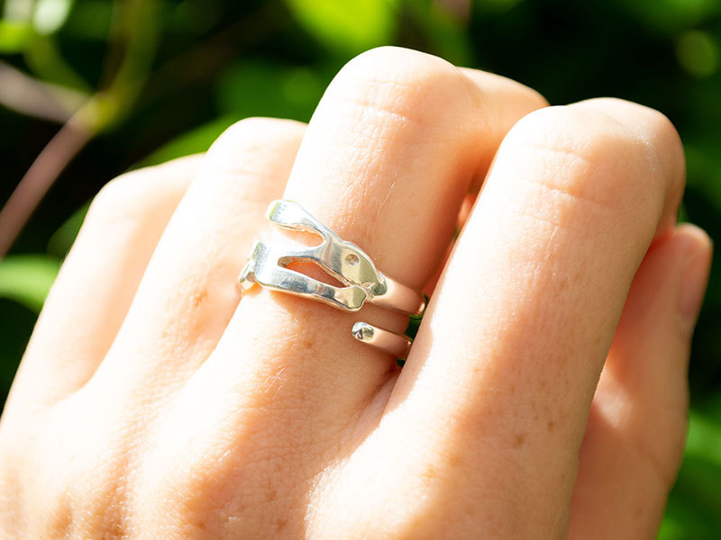 A picture of 'Hare Ring''
