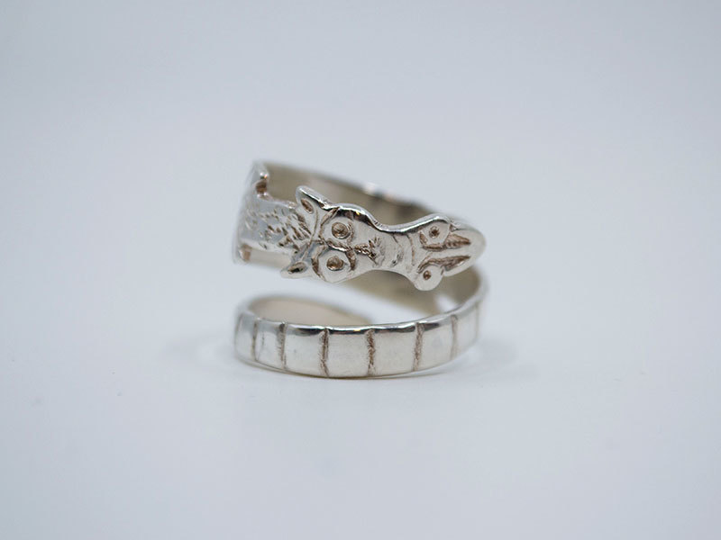 A picture of 'Dragon Ring''